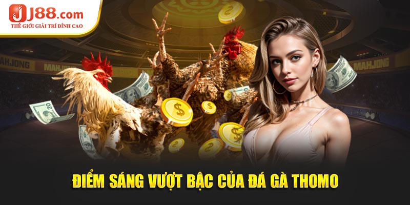 Điểm sáng vượt bậc của đá gà thomo